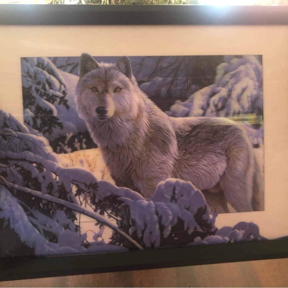 Holographic Wolf Picture. NEW.